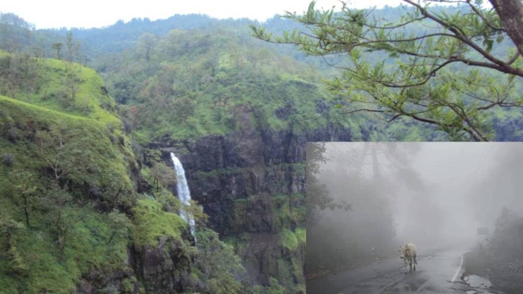 Chikhaldara sees increase in tourism during monsoon