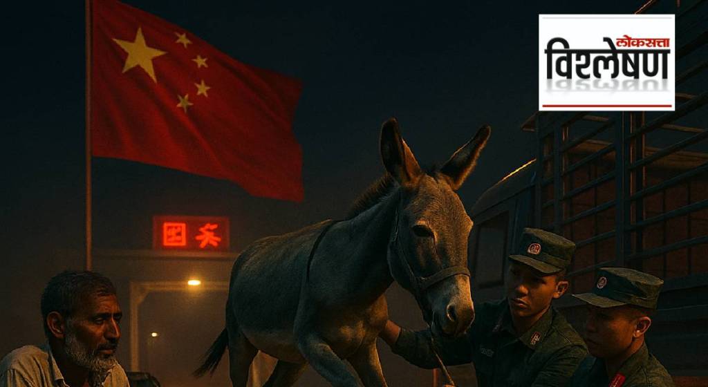 China Demands for Donkeys from Pakistan