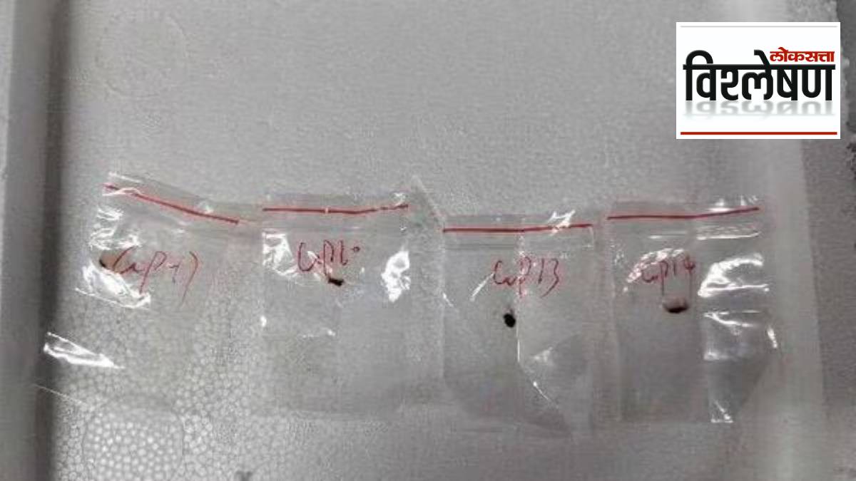 China fungal weapon against America a new type of war strategy Fusarium graminearum fungal plant