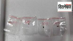 China fungal weapon against America a new type of war strategy Fusarium graminearum fungal plant