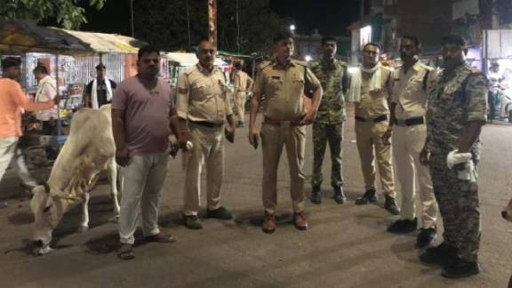 Sub-Divisional Police Officer Naveen Dubey said the incident took place at around 12.30 pm on Saturday in Sumedi village.