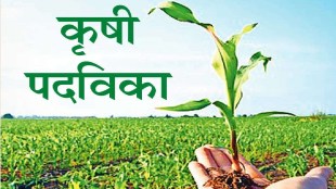 Loksatta career Information about the Diploma in Agriculture course