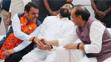 Devendra Fadnavis Ajit Pawar Eknath Shinde (PTI Photo)