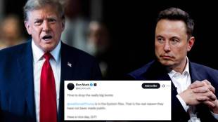Donald Trump and Elon Musk