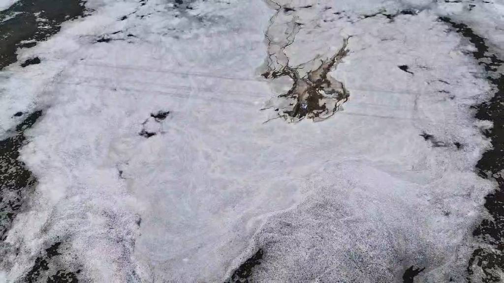Foam was seen on the Waldhuni river flowing through the Vadol area of ​​Ulhasnagar