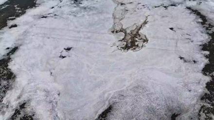 Foam was seen on the Waldhuni river flowing through the Vadol area of ​​Ulhasnagar