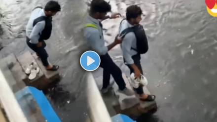 Friendship viral video
