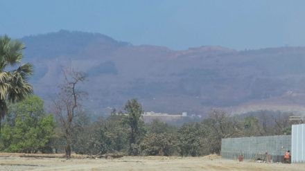 compensate for environmental damage by planting 11 lakh trees by state government
