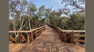 Gorai mangrove park Mumbai nature tourism