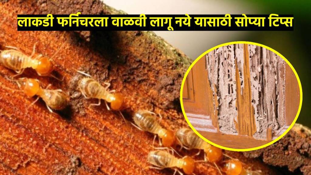 How to protect wooden furniture from termites | 4 Ways to Kill Termites Naturally