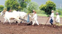 शेतकऱ्यांची फसवणूक करून ७७१ हेक्टर जमीन हडप करणाऱ्या बोगस सावकारांवर कारवाई सहकारमंत्र्यांची घोषणा