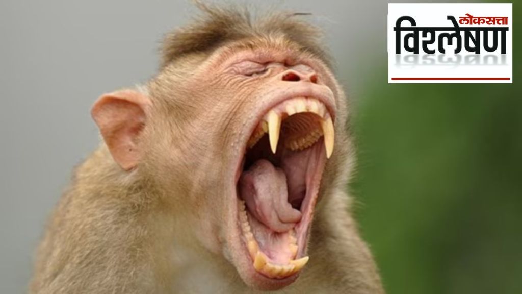 Kerala wants Wildlife Act amended to allow it to kill some wild animals
