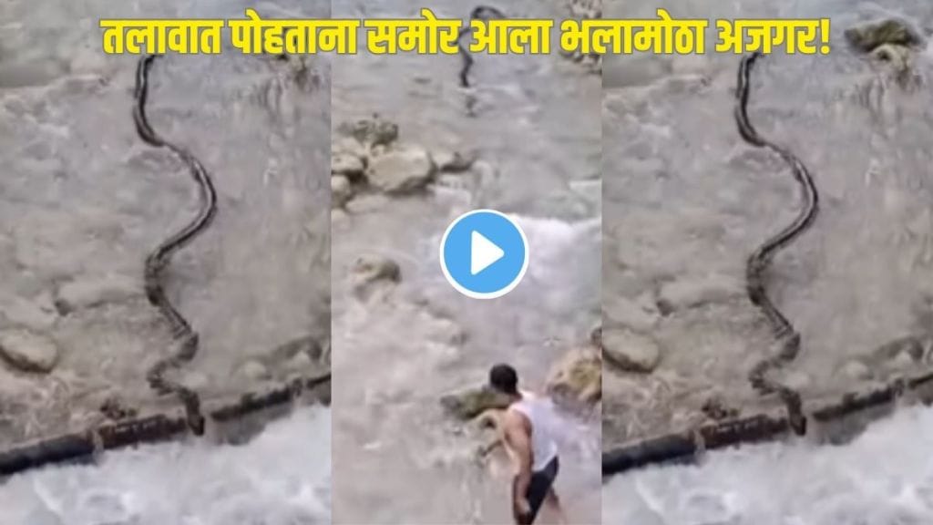 Snake in water Viral Clip