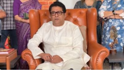 “मी मराठी शिकणार नाही, काय करायचंय बोल”, थेट राज ठाकरेंनाच दिलं व्यावसायिकानं आव्हान!