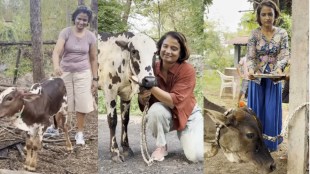 Madhugandha Kulkarni adopted two cows at her farmhouse and named them Lakshmi and Saraswati video viral