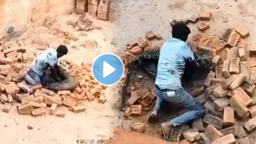 Man Vs Leopard Video