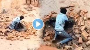 Man Vs Leopard Video