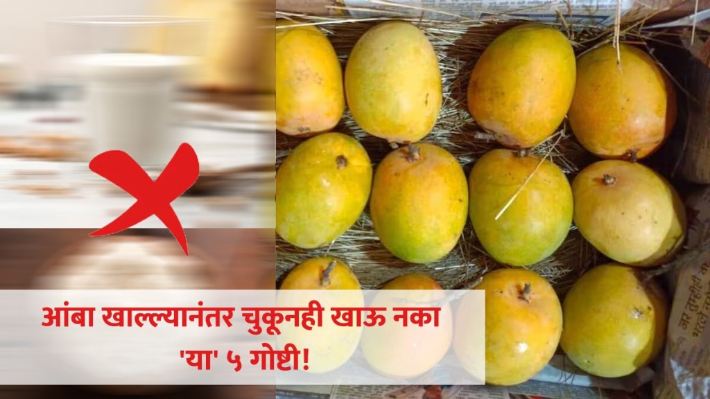 Mango Eating Tips Marathi Mango Eating Tips Marathi