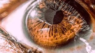 Scientists restore vision in elderly using Prima micro retinal implant
