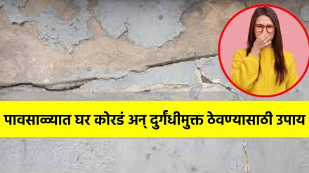 Monsoon Hacks For Your Home