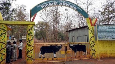 Navegaon-Nagzira wildlife tourism extention
