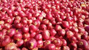 Reselling of rotten onions from APMC