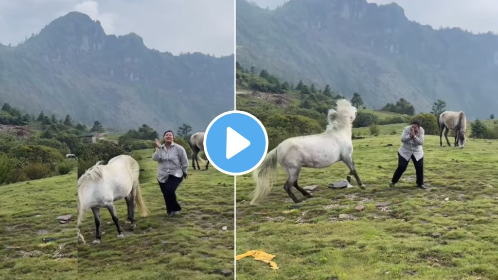 The horse kicked girl while she making reel funny video goes viral on social media