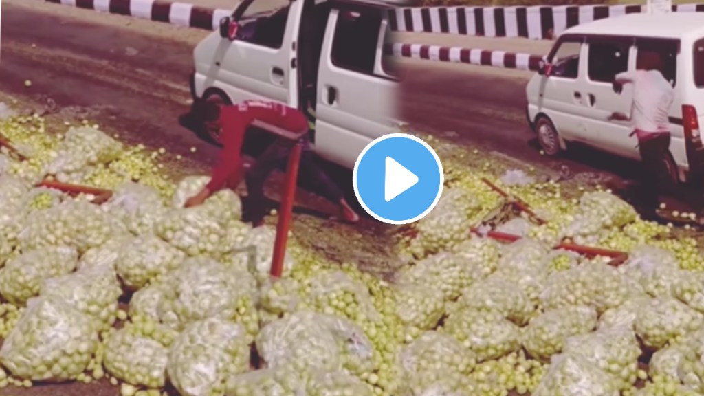 Shocking video Farmer truck accident video instead of helping him some people started lotting his vegetables video goes viral