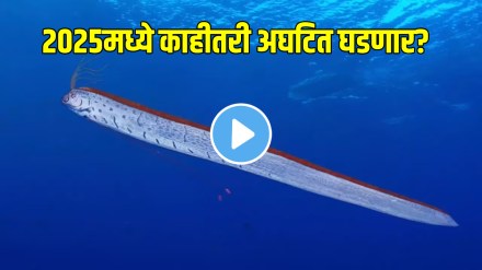 Rare 'doomsday fish' spotted in Tamil Nadu: Is it a sign of a disaster ahead? video goes viral