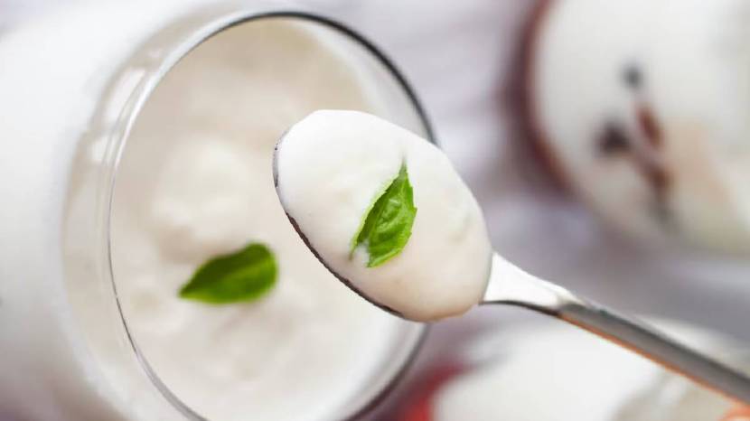 How to make curd at home