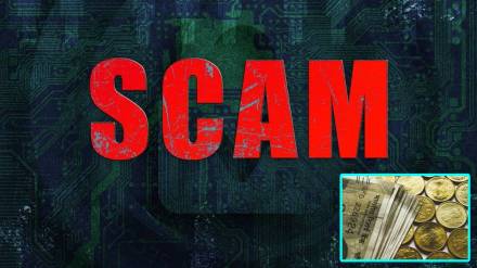 Forest officer suspended , Rajura taluka, Forest officer suspended , Rajura taluka,