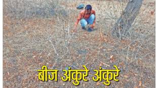 shivshankar chapule