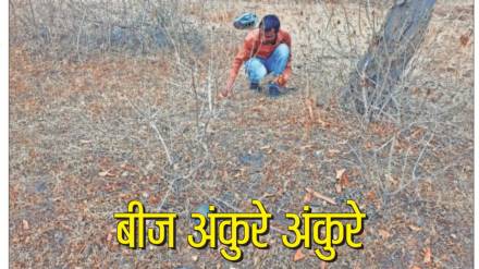shivshankar chapule