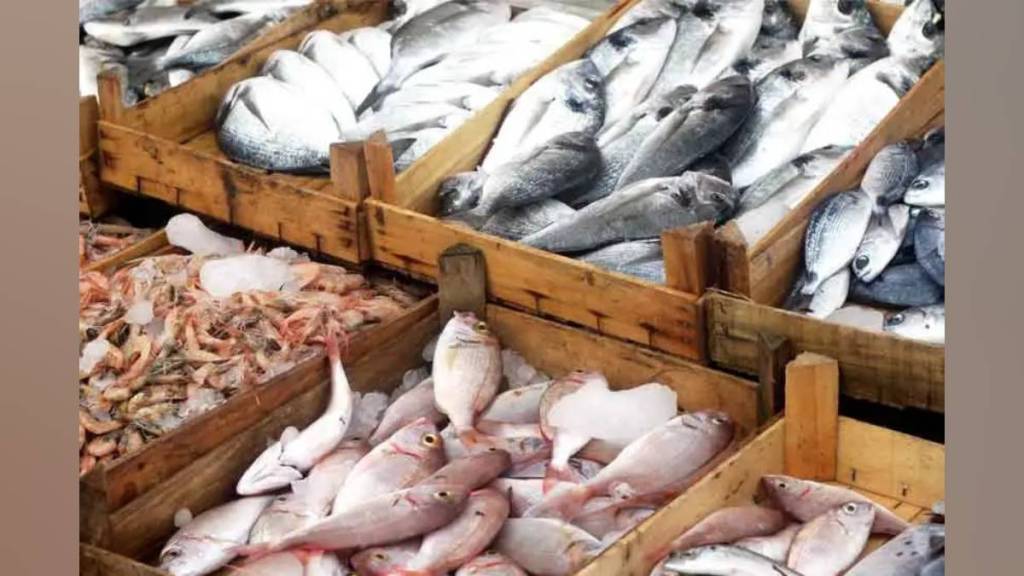Foodies rely on cold stored fish during monsoon as fishing resumes in neighboring provinces