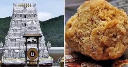 Tirupati Prasad ladu