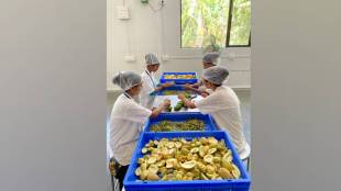 Palghar launches project using new technology to dehydrate fruits vegetables extending shelf life