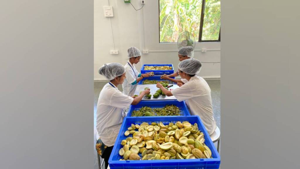 Palghar launches project using new technology to dehydrate fruits vegetables extending shelf life