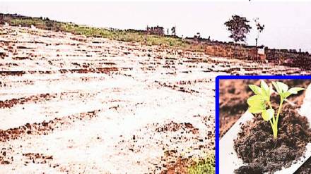 barren lands problem, Pre-monsoon rain,