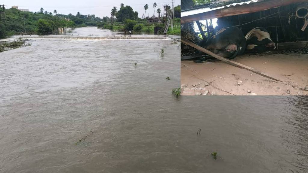Heavy rain hit ten mandals lightning flooding killed a farmer and four animals Heavy rain hit ten mandals lightning flooding killed a farmer and four animals