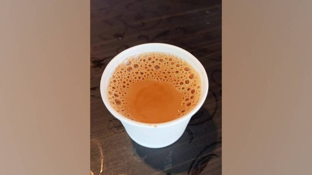 amravati District Collector Office decision to ban plastic paper cups used for tea
