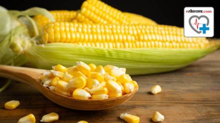 Is corn really beneficial for weight loss