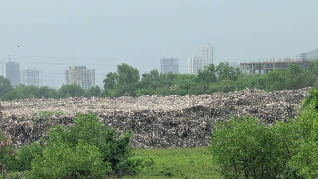 Environmentalists angered by garbage and soil dumping on green belt from Diva Sabe to Mumbra