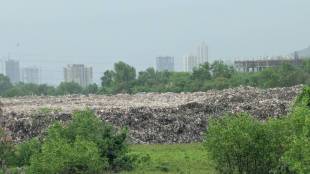 Environmentalists angered by garbage and soil dumping on green belt from Diva Sabe to Mumbra