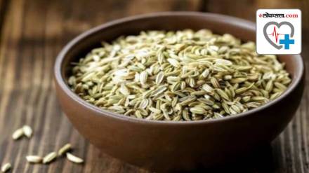 Fennel Eeeds Health