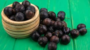 foods to avoid with Java Plum