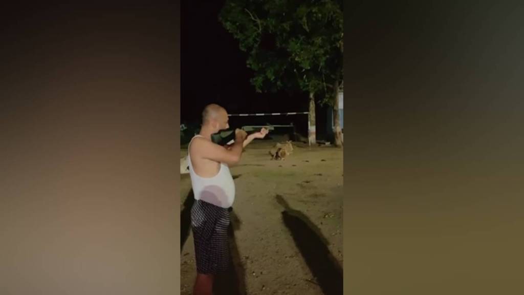Dog killed in air gun firing, Dog killed air gun firing Bhandara,