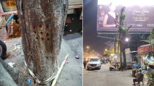 Mumbai Ahmedabad Highway Tree, Tree Injection,