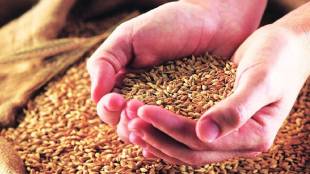 How To Prevent Dry Wheat From Insects