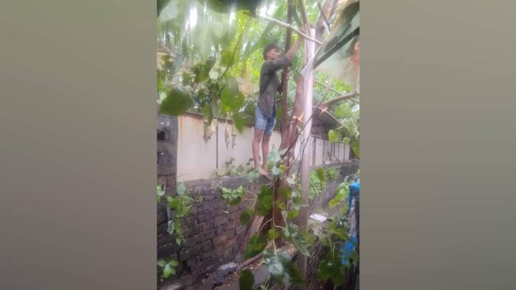 tree branch falls in Thane, Woman and child injured Thane, tree branch falls , Thane latest news,