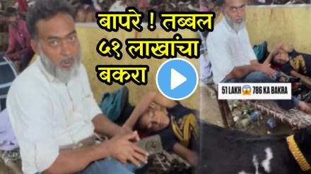 Bakri Eid Goat Demand Goat worth Rs 51 lakh mumbai video goes viral on social media